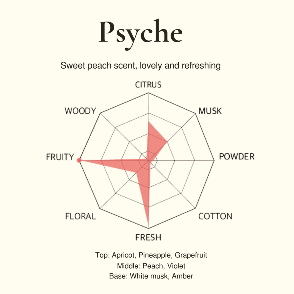 Niche Stitch - Psyche EDT 42ML